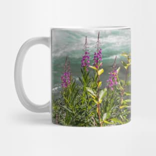 USA. Alaska. Wild River. Mug